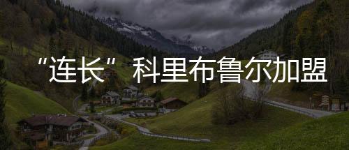 “连长”科里布鲁尔加盟国王 布鲁尔职业生涯数据统计