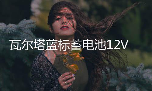 瓦尔塔蓝标蓄电池12V60ah适配大众朗逸宝来捷达POLO速腾L2400电瓶