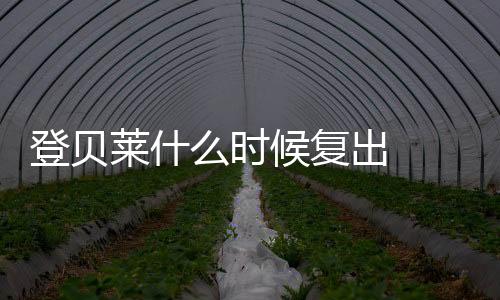 登贝莱什么时候复出  巴萨缺少登贝莱还能进欧冠决赛吗