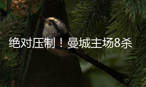 绝对压制!曼城主场8杀樱桃军 数据示纪录延续
