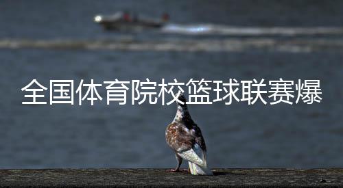 全国体育院校篮球联赛爆发激烈群殴!5名球员被禁赛!