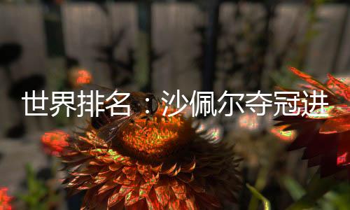 世界排名：沙佩尔夺冠进入前100 利什曼升至228位