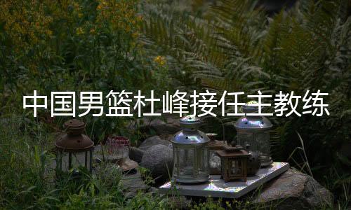 中国男篮杜峰接任主教练还兼任广东男篮主帅 业务水平怎么样