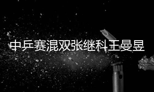 中乒赛混双张继科王曼昱3