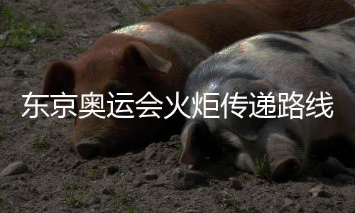 东京奥运会火炬传递路线+时间 首棒给日本世界冠军女足