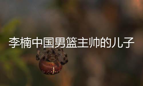 李楠中国男篮主帅的儿子比赛进步明显 U21联赛场均14分