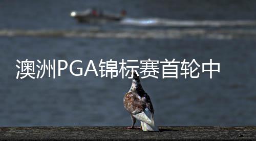 澳洲PGA锦标赛首轮中断 S.加西亚暂领先丁文一T3