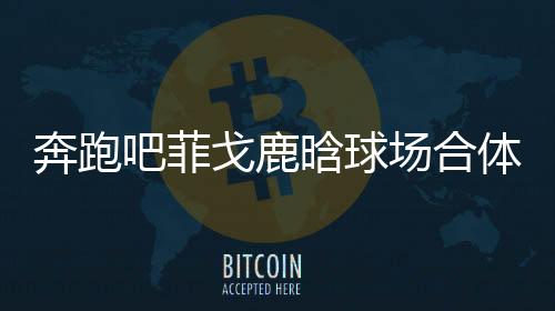 奔跑吧菲戈鹿晗球场合体 3传2递耍百位球童