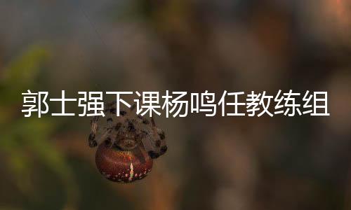 郭士强下课杨鸣任教练组长 辽宁男篮官宣郭士强辞职