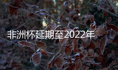 非洲杯延期至2022年1