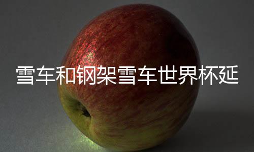 雪车和钢架雪车世界杯延庆站：中国队获2银2铜实现历史突破