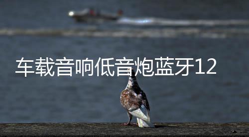 车载音响低音炮蓝牙12V24V汽车改装有源专用音箱梯形音响超重低音