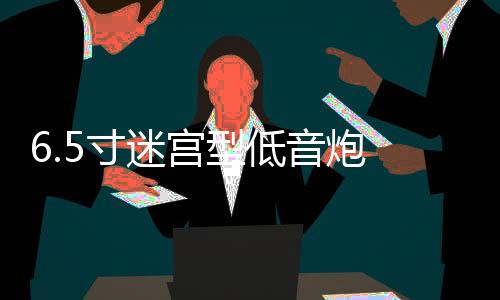 6.5寸迷宫型低音炮 木质 空箱体 功放汽车音响喇叭音箱外壳孔可改