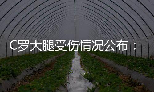 C罗大腿受伤情况公布：轻微拉伤 可在一至两周内复出