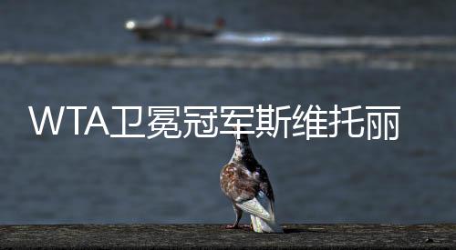 WTA卫冕冠军斯维托丽娜:压力确实存在 盼今年再取佳绩