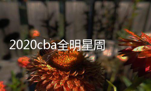 2020cba全明星周末比赛时间+投票通道地址 票价最高1080元