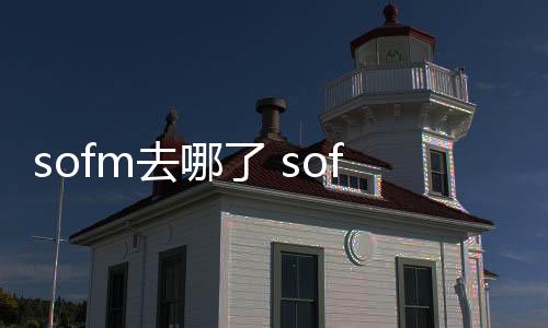 sofm去哪了 sofm加入SN战队真的假的原因怎么回事